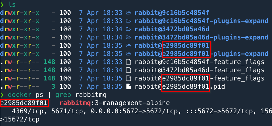 RabbitMQ Docker Volume - Container ID