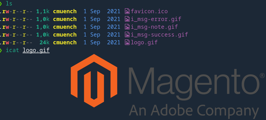 Magento Logo über icat in der Konsole anzeigen