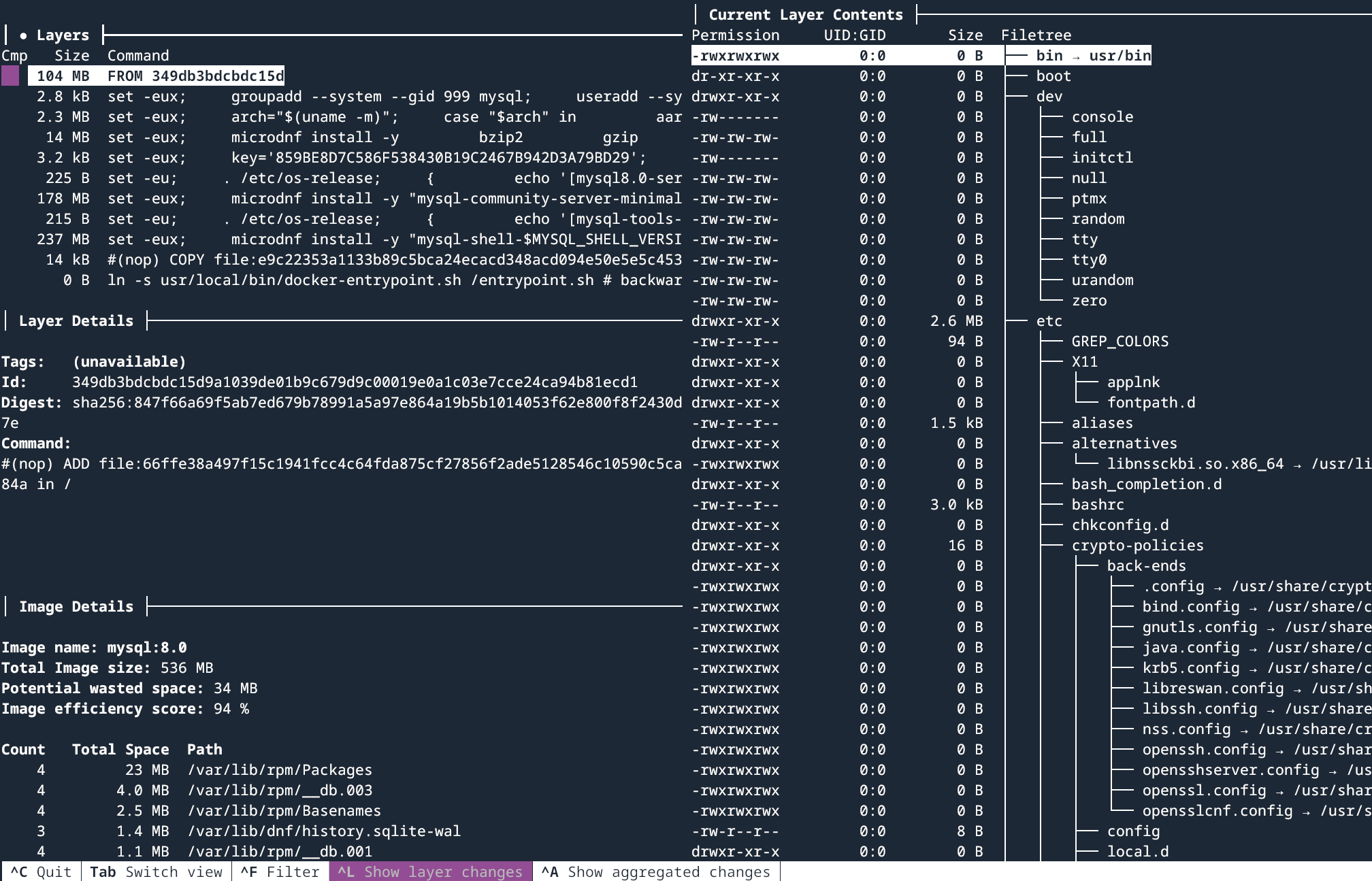 A terminal window shows a detailed view of a Docker image with various layers and their sizes. There is information about permissions, file paths, and the current layer contents. The image information also includes details about efficiency and wasted disk space.