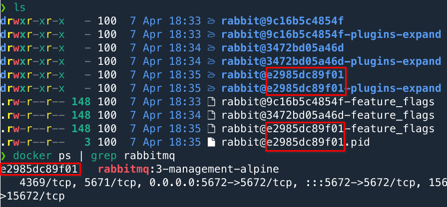 RabbitMQ Docker Volume  - Container ID